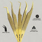 GMI Lash Tweezers - Set of 5 Eyelash Tweezers- Stainless Steel Extension Multipurpose for Extensions Individual. (Gold)